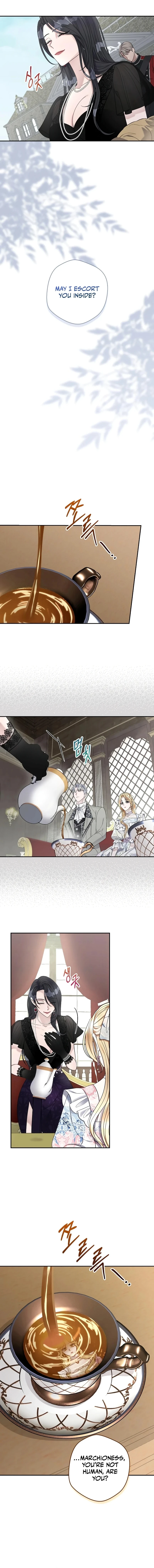 74901419 800 8165 581078